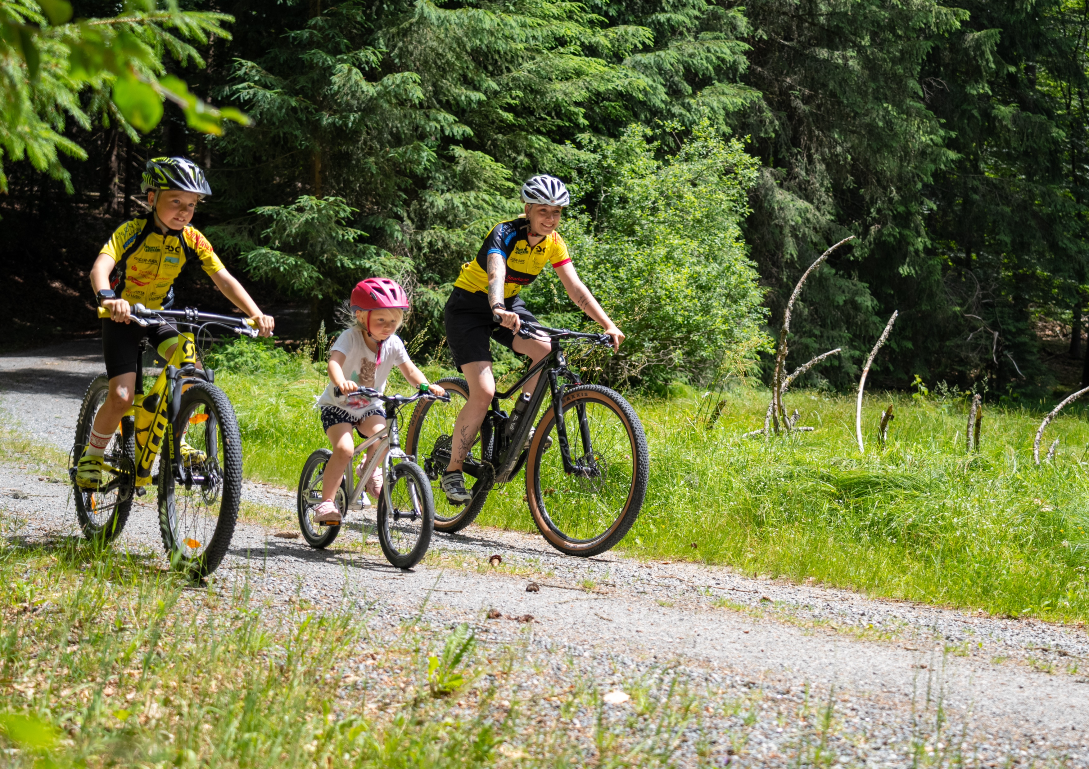 Bild von Radfahrern im Sonnenwald